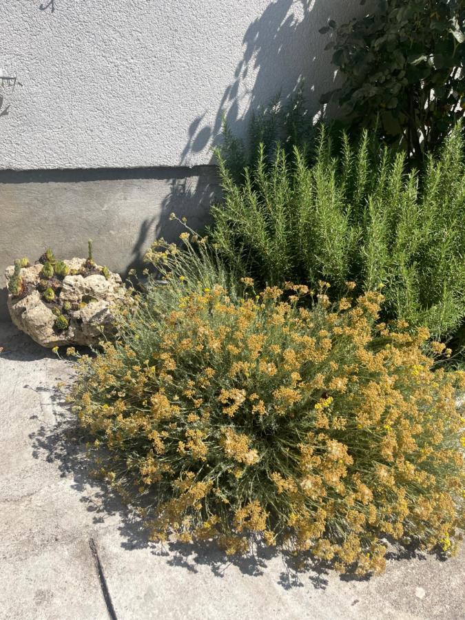 Malin Guesthouse Skradin Esterno foto